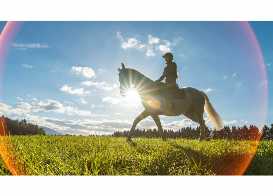 5 Reasons Horse Riding is Good for Your Mental Health