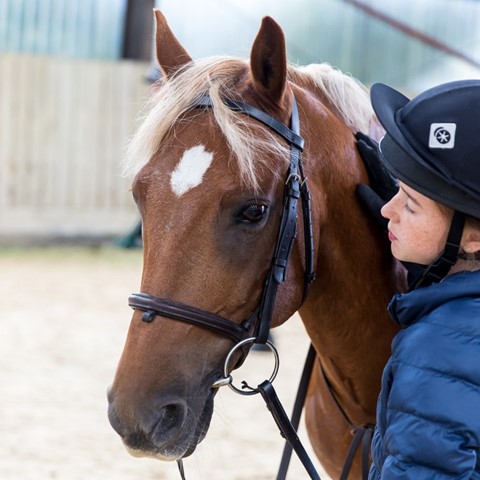 Pony Club: A Fun and Rewarding Way to Learn Horsemanship